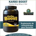 Karbo Boost (60 gr, 600 gr y 1 kilo) – Green Planet