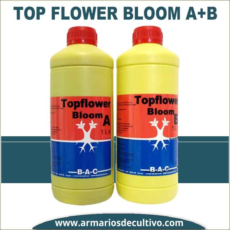 BAC Top Flower Bloom A+B 