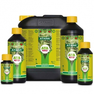 ATA NRG Growth C 