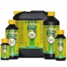 ATA NRG Growth C 