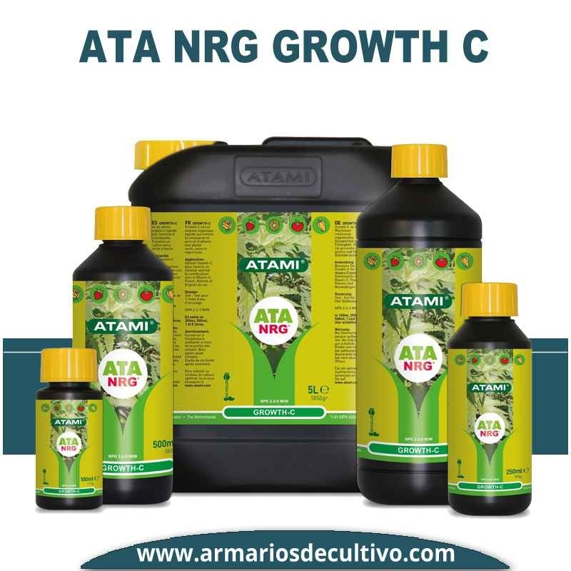 ATA NRG Growth C 