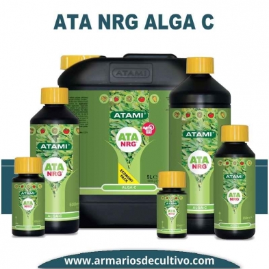 ATA NRG Alga C 
