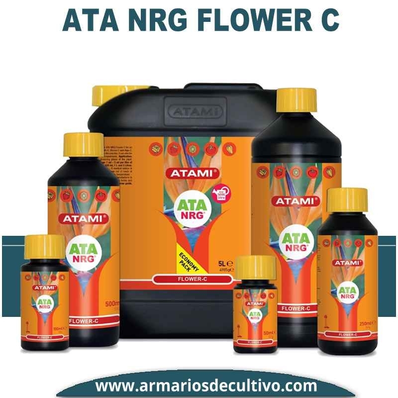 ATA NRG Flower C 