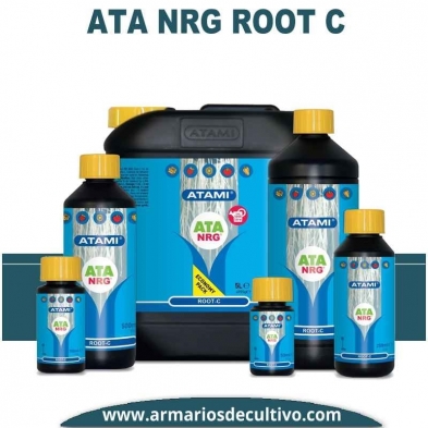 ATA NRG Root C 
