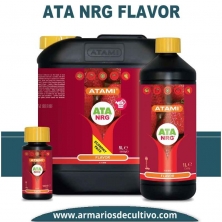 ATA NRG Flavor 