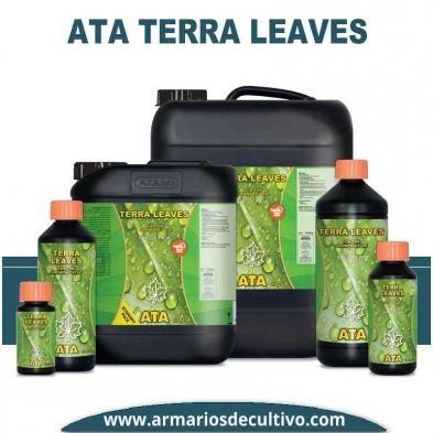 ATA Terra Leaves 