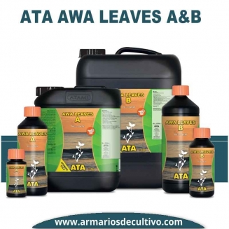 ATA Awa Leaves A&B