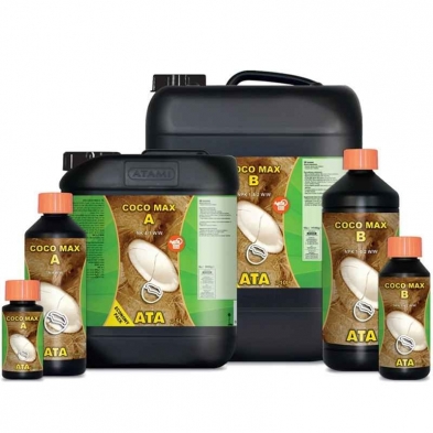 ATA Coco Max A&B