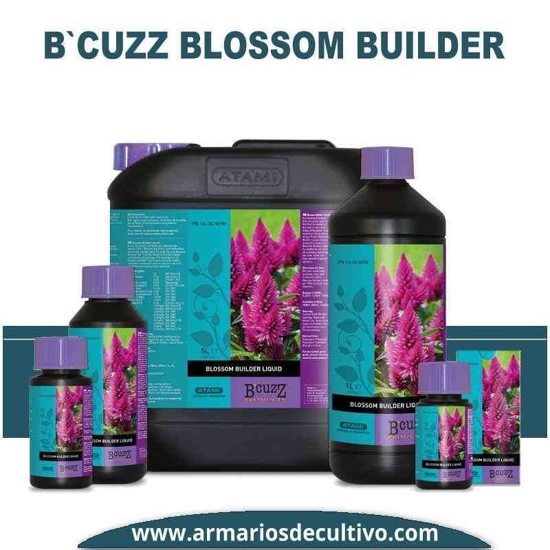 B’Cuzz Blossom Builder 