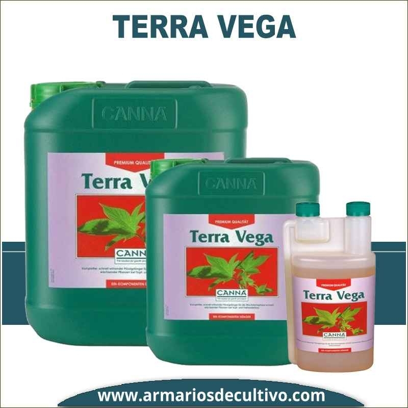 Terra Vega 
