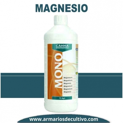Magnesio 
