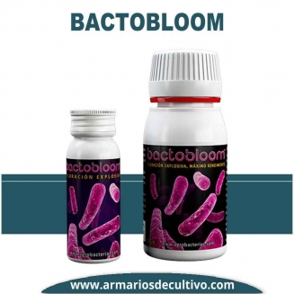Bactobloom 