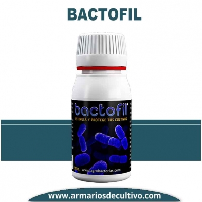 Bactofil 