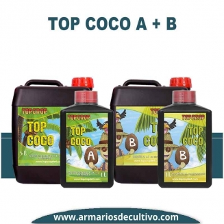 Top Coco A+B