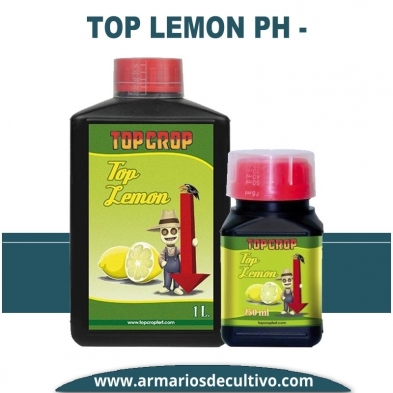 Top Lemon (Ph -)