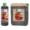 Bio Hesi Bloom