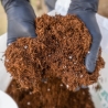 All Mix Boom Nutrients