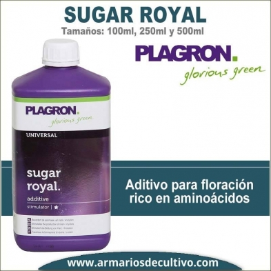 Sugar Royal 