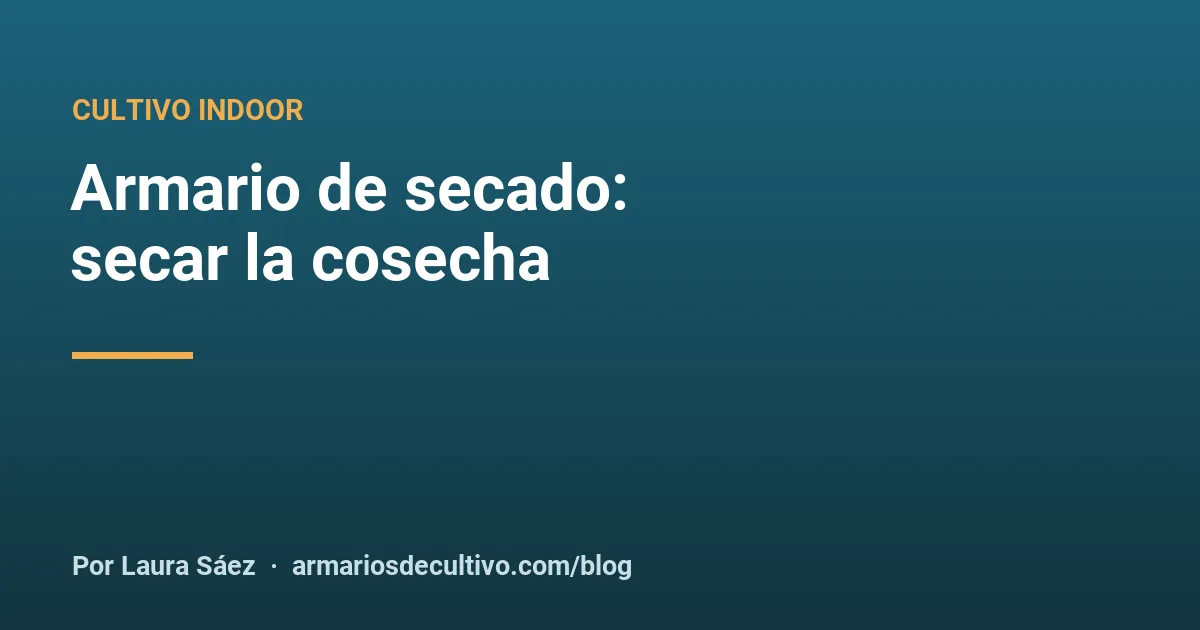 Armario de secado: secar la cosecha