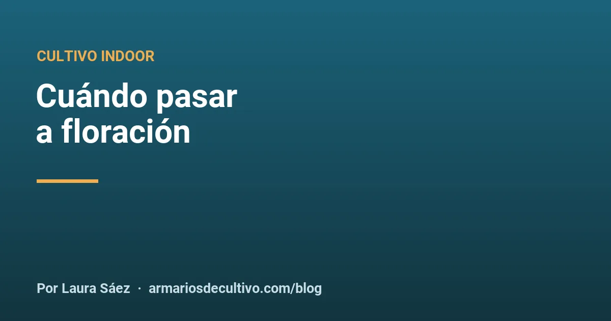 Cuándo pasar a floración