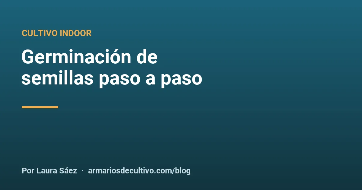 Germinación de semillas paso a paso