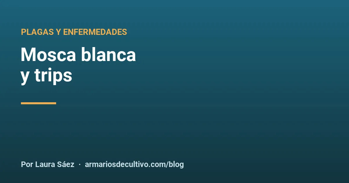 Mosca blanca y trips
