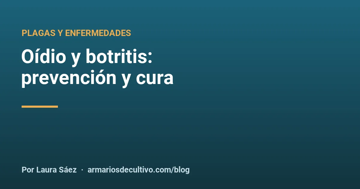 Oídio y botritis: prevención y cura