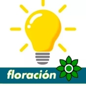 Floración